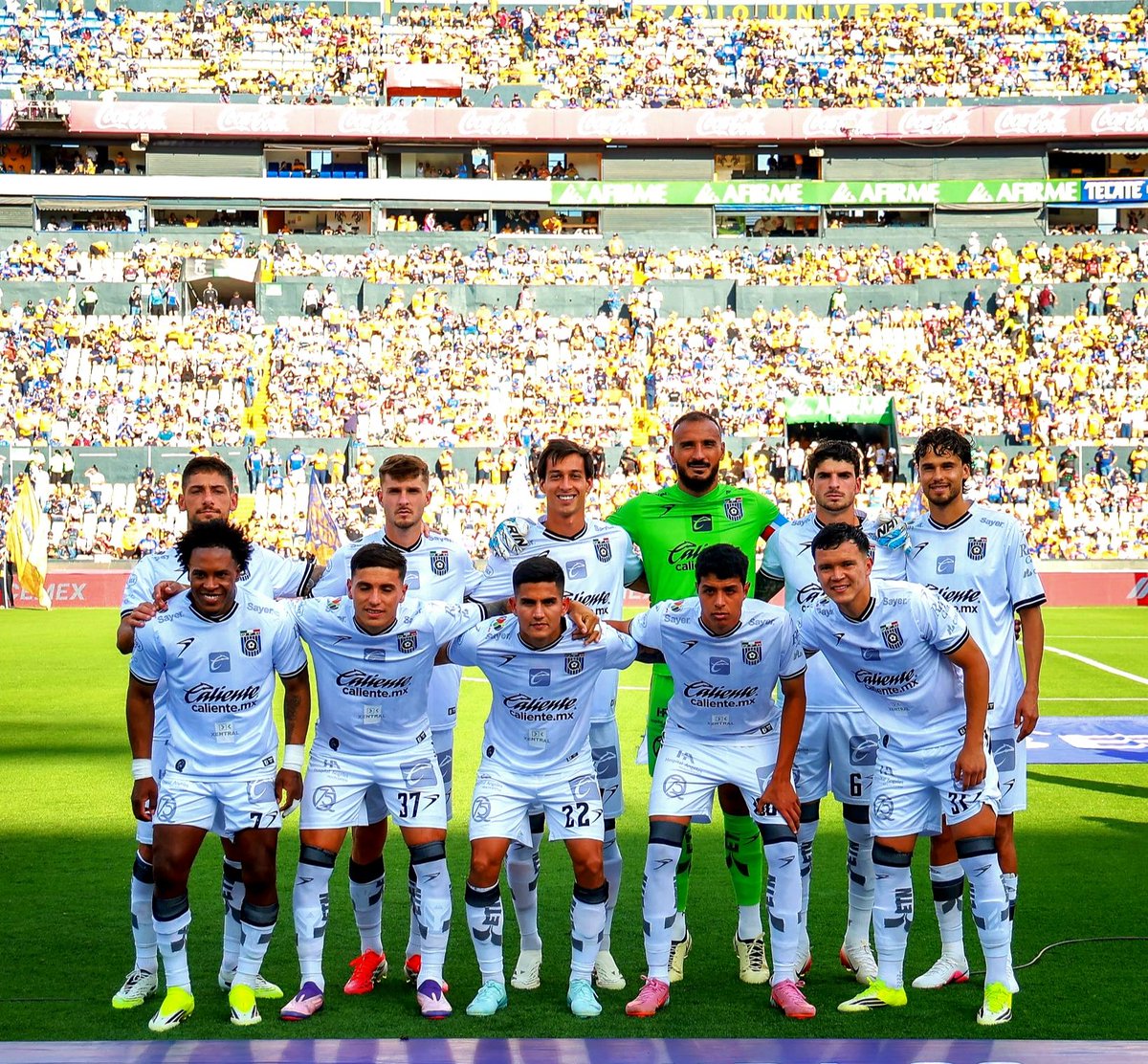 GallosTV tweet media