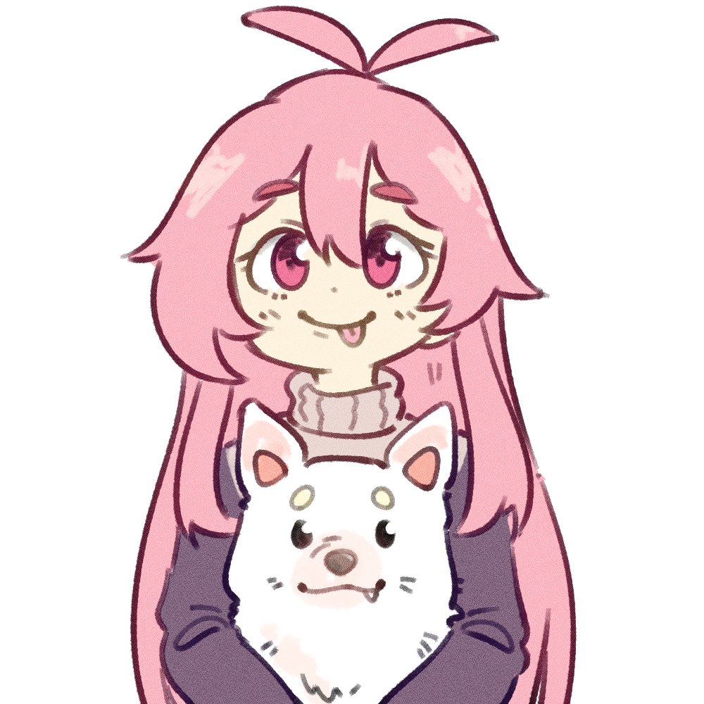 dogwithsocks🧦 tweet media