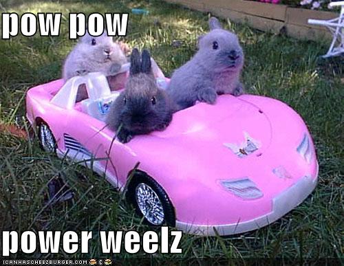 OMG HI KITTY!! tweet media