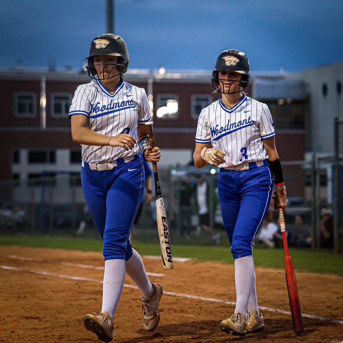 Hailey Cargile 2026 tweet media