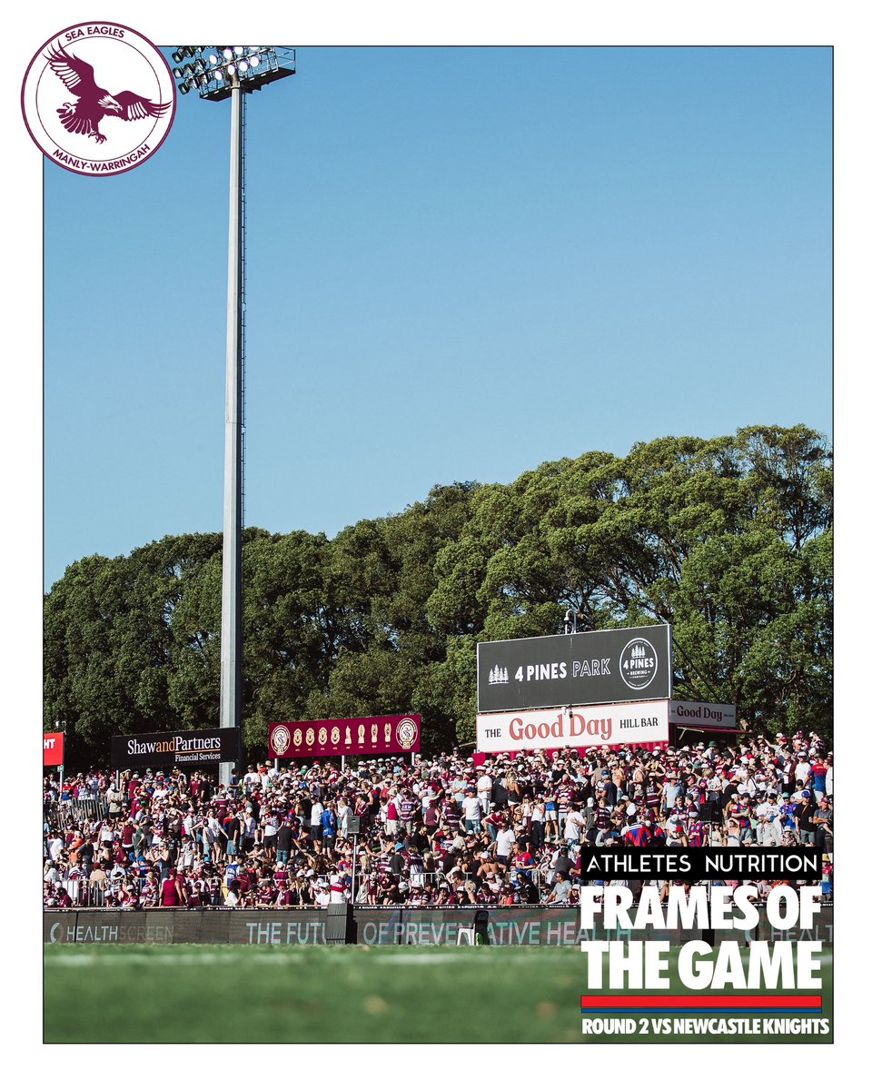 Manly Warringah Sea Eagles tweet media