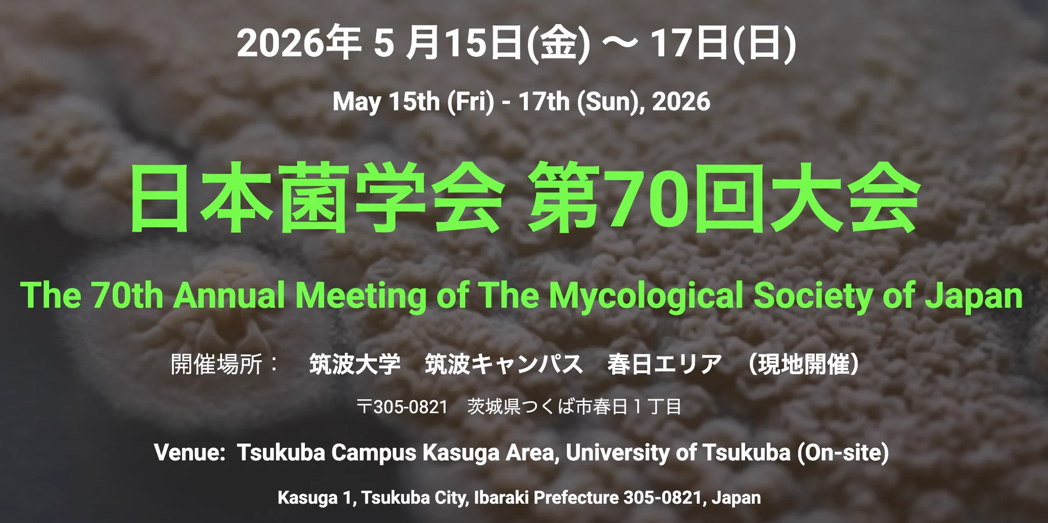 日本菌学会（菌類観察会＠横浜 9月26日-27日） on X: 