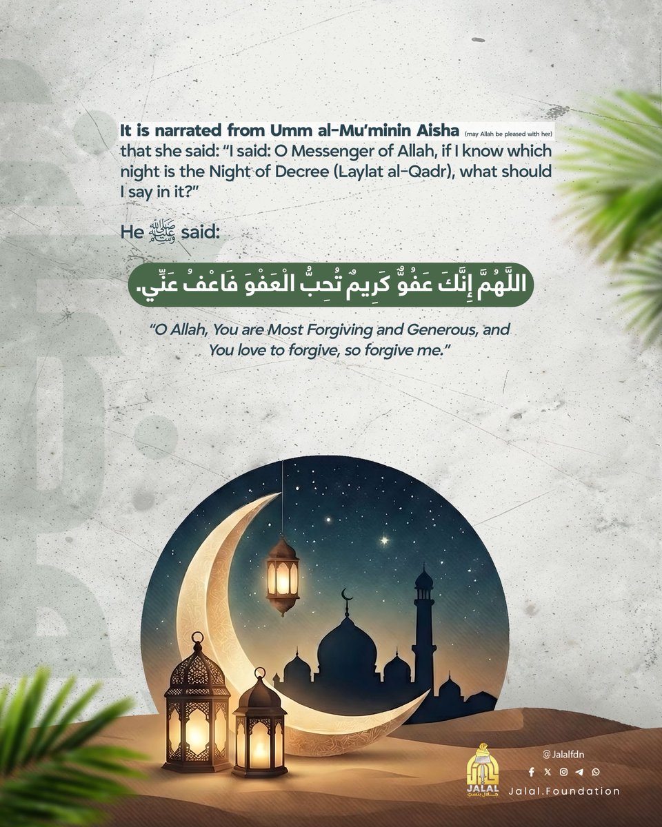 Jalal جلال tweet media