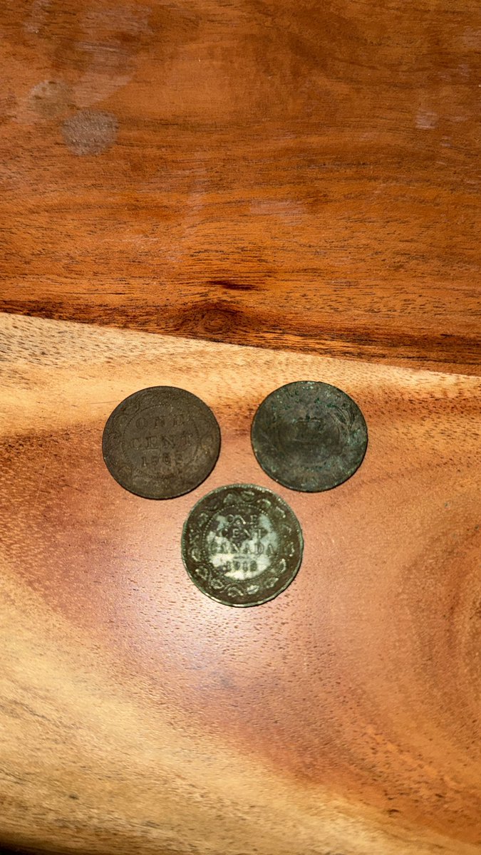 Tim Barkasy tweet media