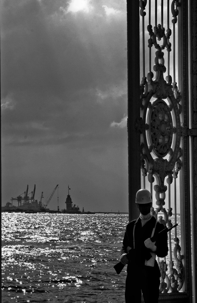 Robynne Limoges tweet media