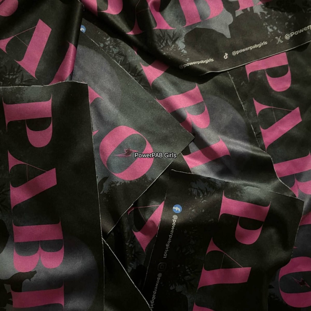 PowerPab Girls tweet media