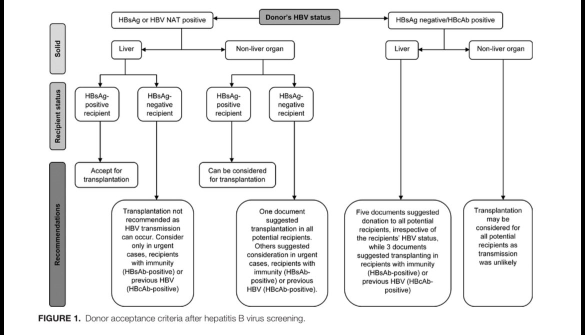 AliSMV7's tweet photo. Evaluating Infections in Solid Organ Donors Before Transplantation: A Systematic Review of Clinical Practice Guidelines

https://t.co/YvEnwdu84N https://t.co/AWxYgLg66x