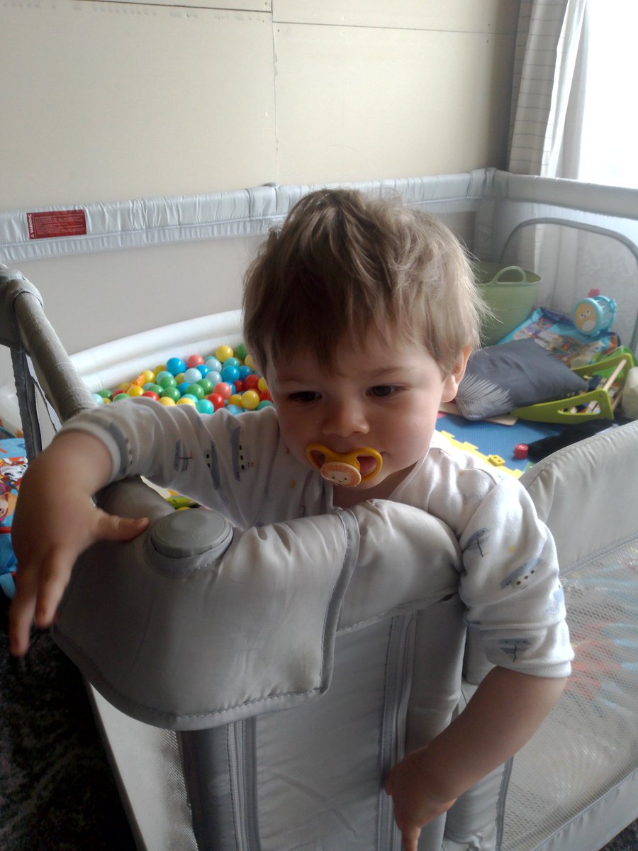 Eli Noah Whittington tweet media