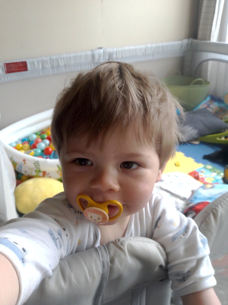 Eli Noah Whittington tweet media