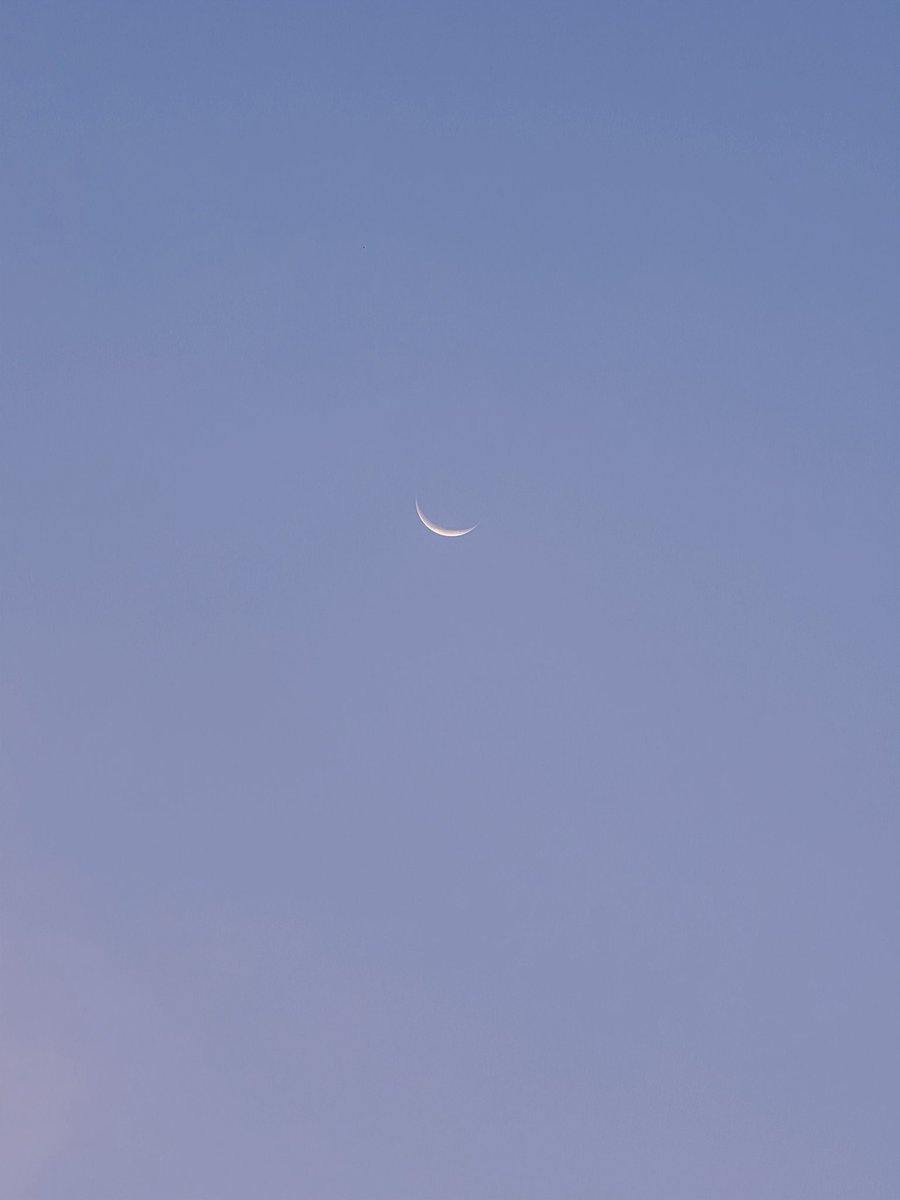 dans 🔰 tweet media