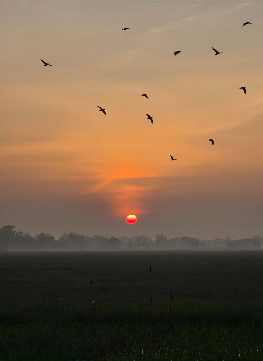 dans 🔰 tweet media