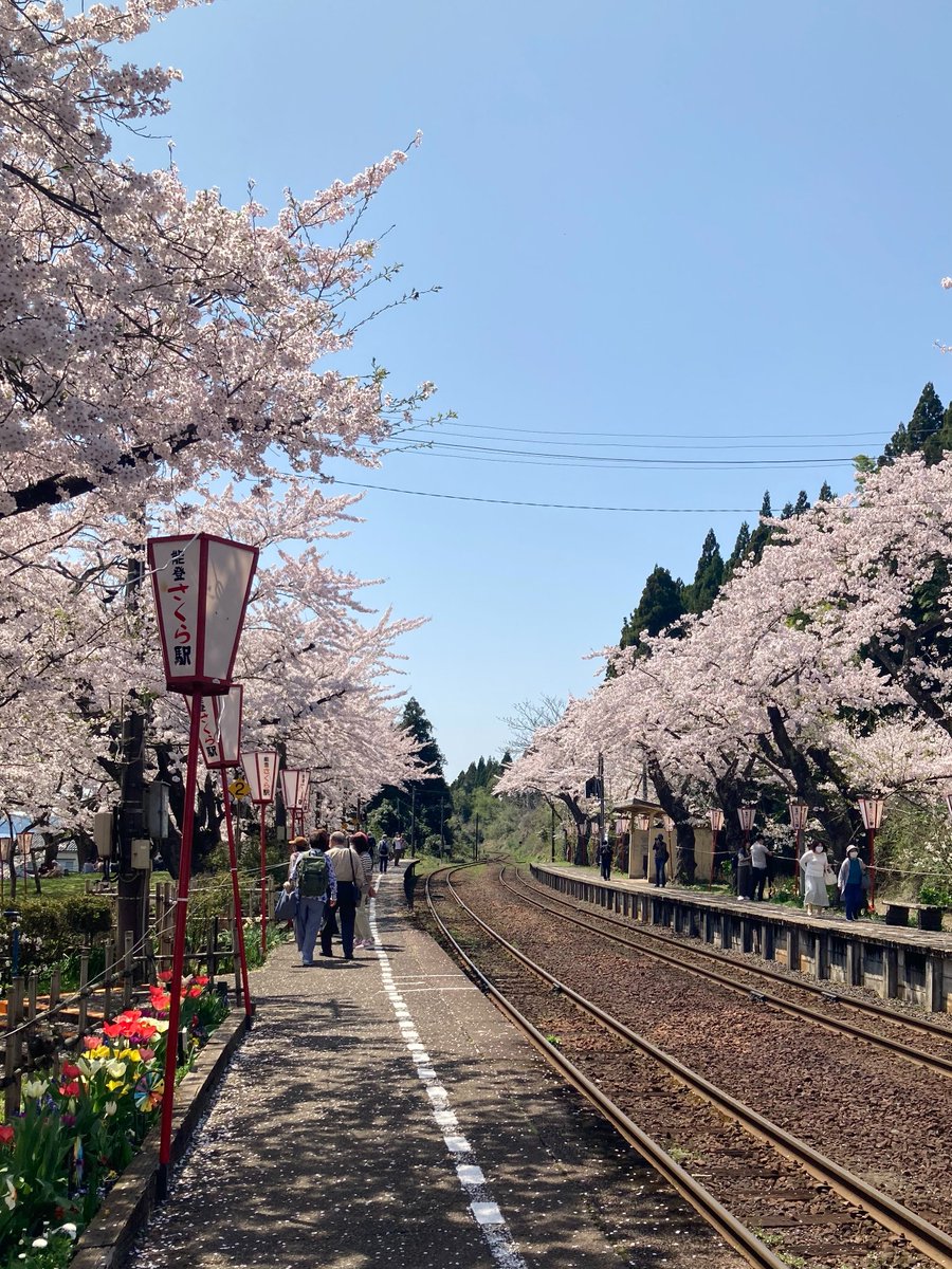 noto_airport's tweet photo. 【#能登を旅するスカイのっぴー】
2026年の桜開花予想も発表され、春が待ち遠しいですね🌸今年の春は、ぜひ能登へ足を運んでみませんか❓美しい桜とともに、能登の自然や食、あたたかい人の魅力を感じていただけたら嬉しいです。

石川県桜の名所特集2026年版
https://t.co/WAiD4iXqG2
#今行ける能登 https://t.co/aKeqZrRAaj