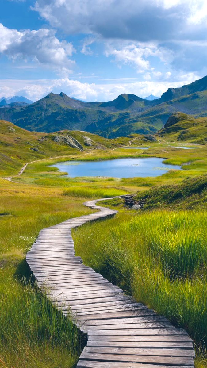 🔆 V 🔛 LOVE 🔆 tweet media