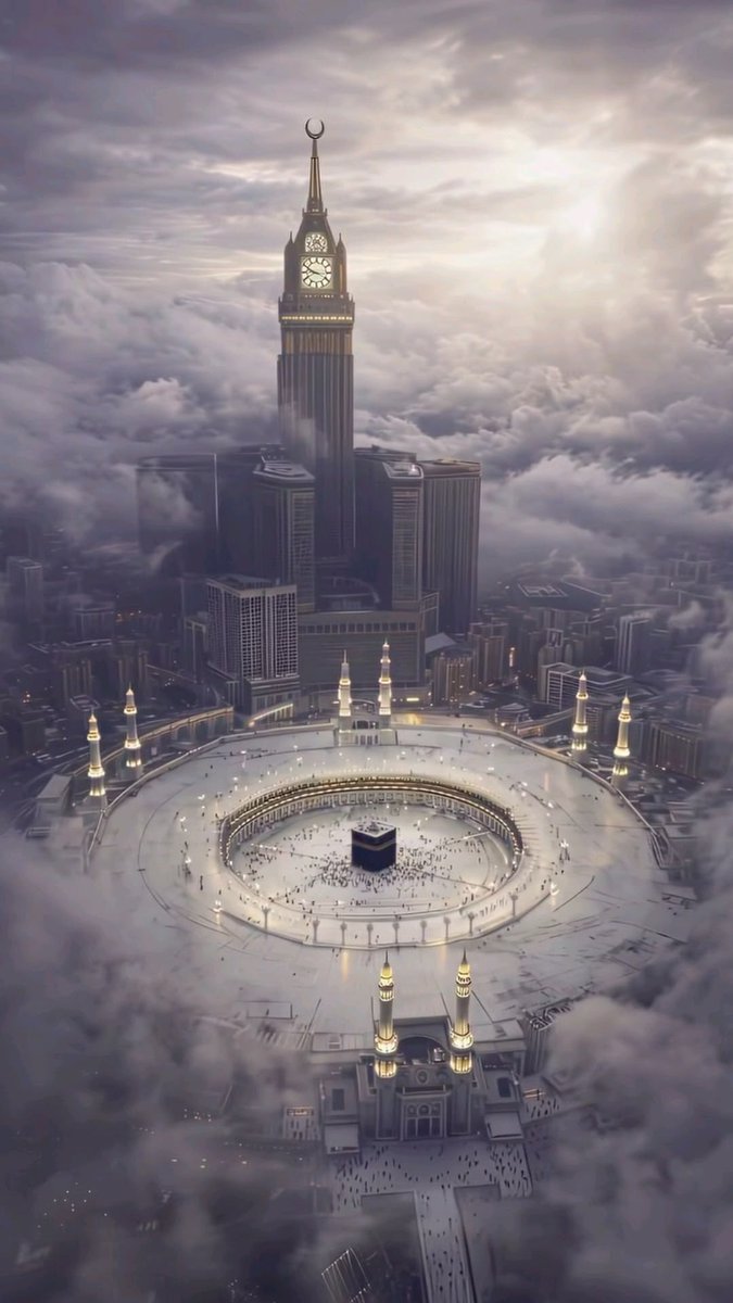 وناسة البر tweet media