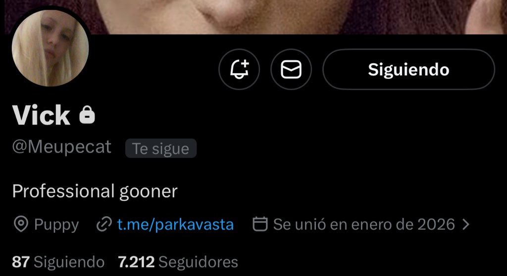 artesana del buen gusto tweet media