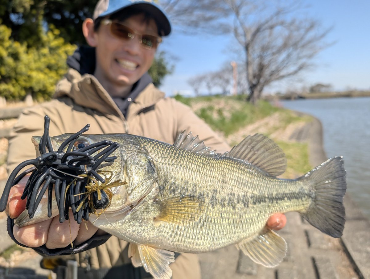 うなぎいぬ🦅大津清彰 バス釣り真相解明＆新訳バスフィッシング教書連載中 tweet media