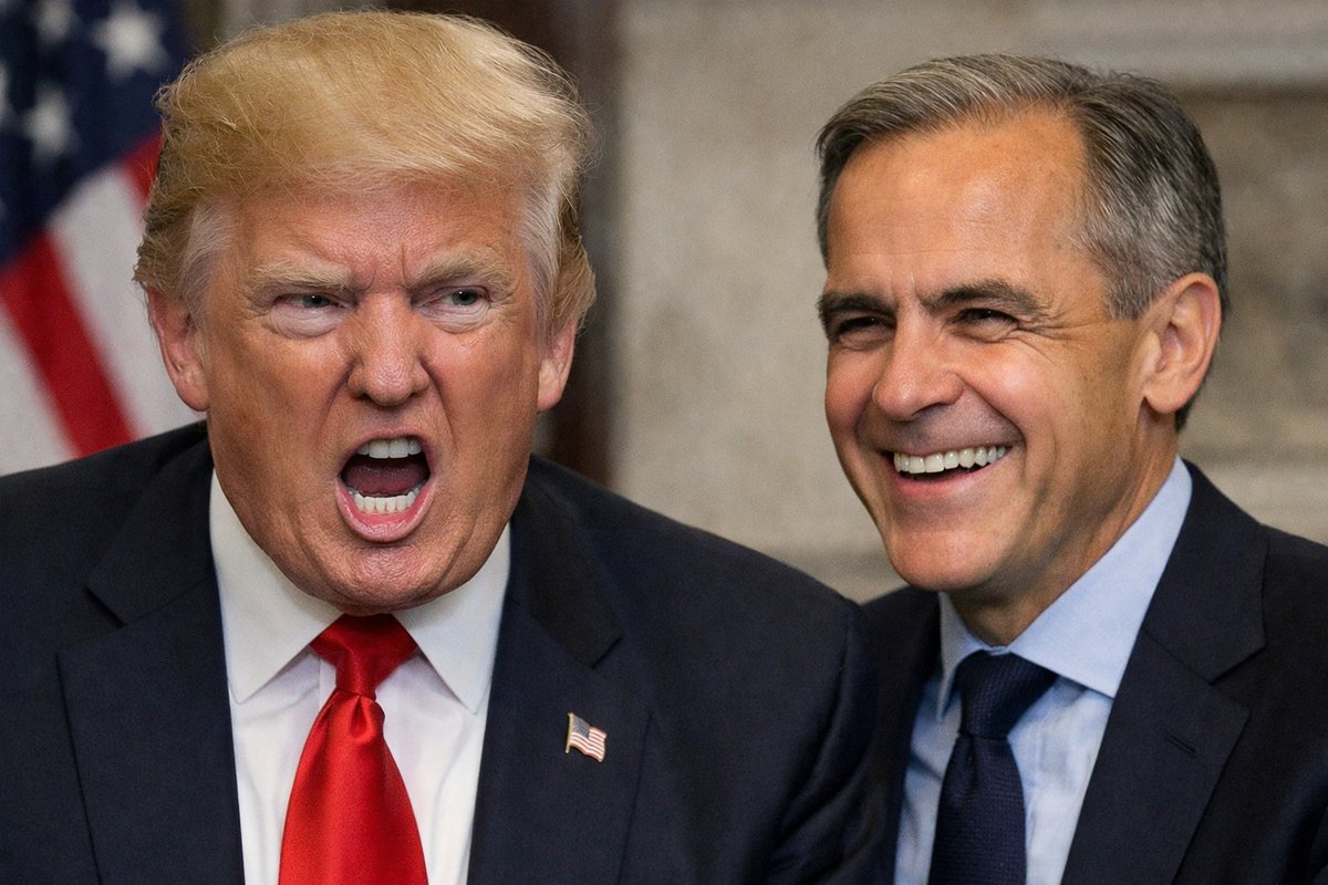 Steve Gingras tweet media