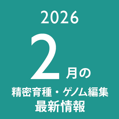 setsurotech's tweet photo. 皆さんに品種改良加速技術（ゲノム編集技術）の可能性について考えてもらえればと、このXアカウントでは関連する論文やニュース記事の情報を、随時ピックアップして、ご紹介しています。

2026年2月に紹介した分をまとめました。
研究開発や新規事業のタネ探しにぜひ！

https://t.co/mnmDSE2Ahp https://t.co/jTkKJDthV5