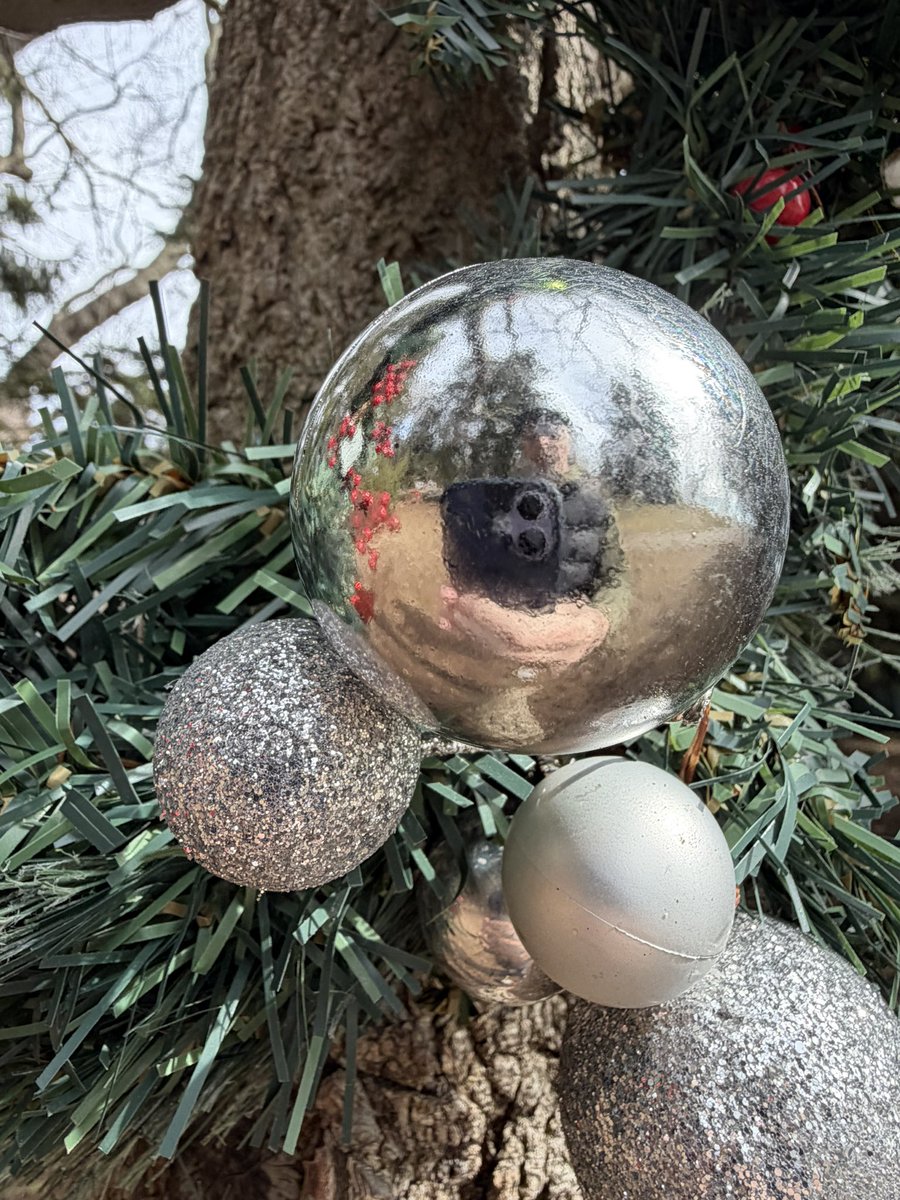 Ted Stokes tweet media