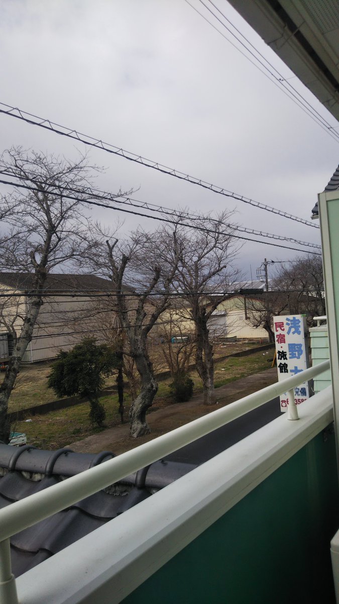 す〜さん🍻海楽参戦⛩️🌊 tweet media