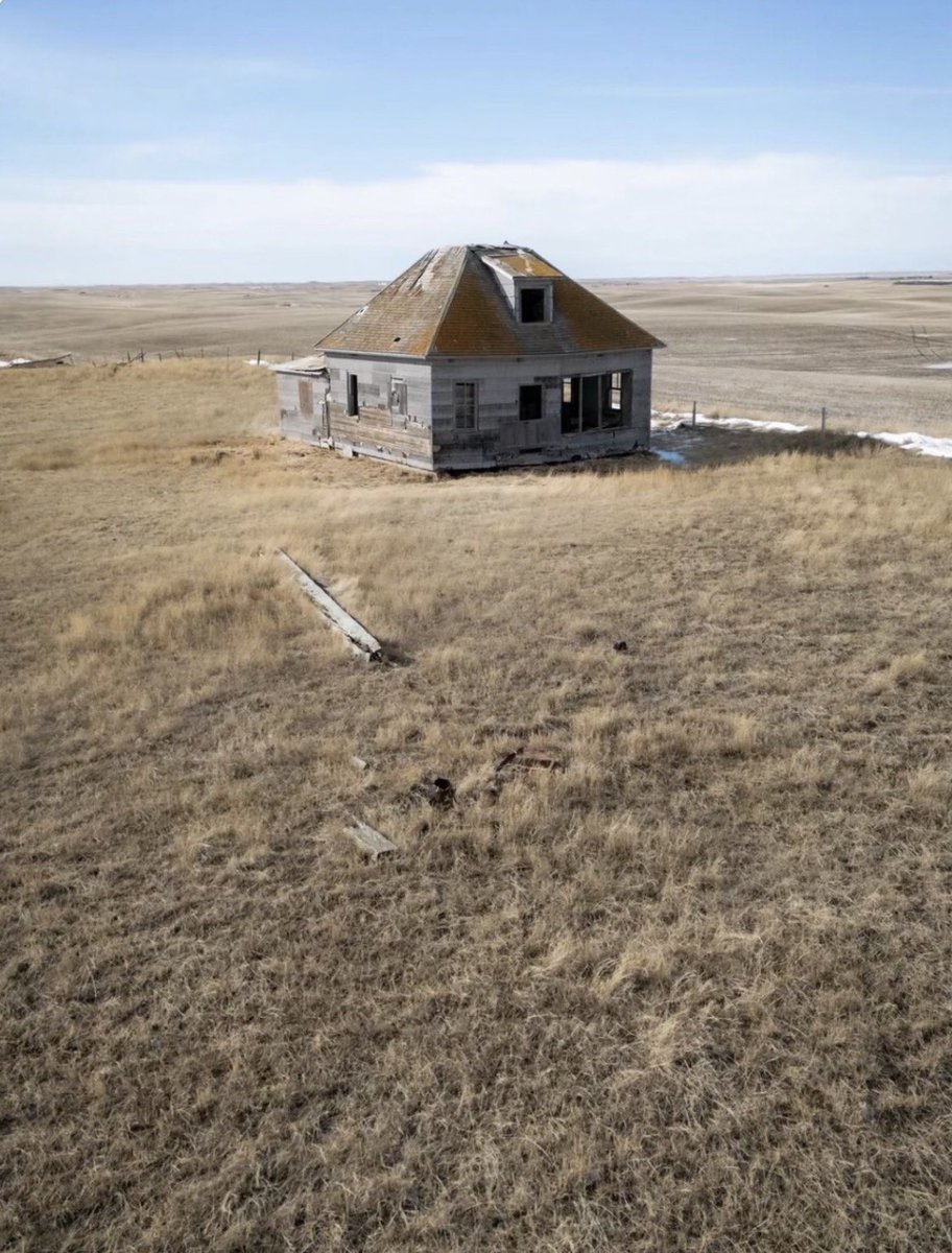 SweetMarie tweet media