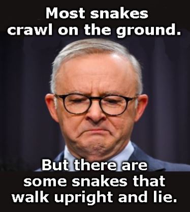 Kazza_Bazza tweet media