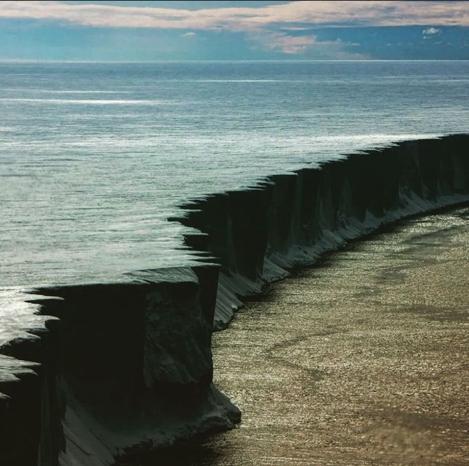 Groopert tweet media