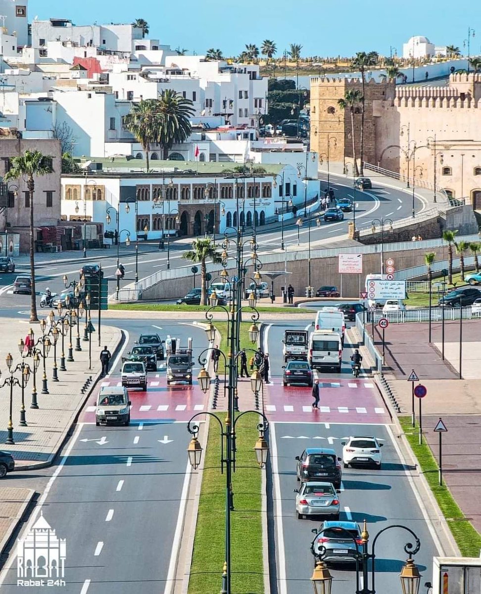 Africa First tweet media