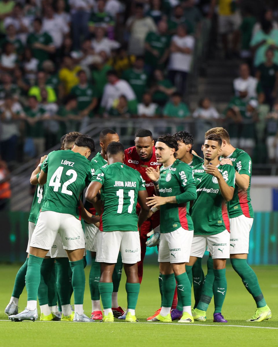 SE Palmeiras tweet media
