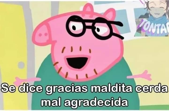ᵐⁱᵐⁱª *ೃ✧˚. - ENHYPEN IS 7 tweet media