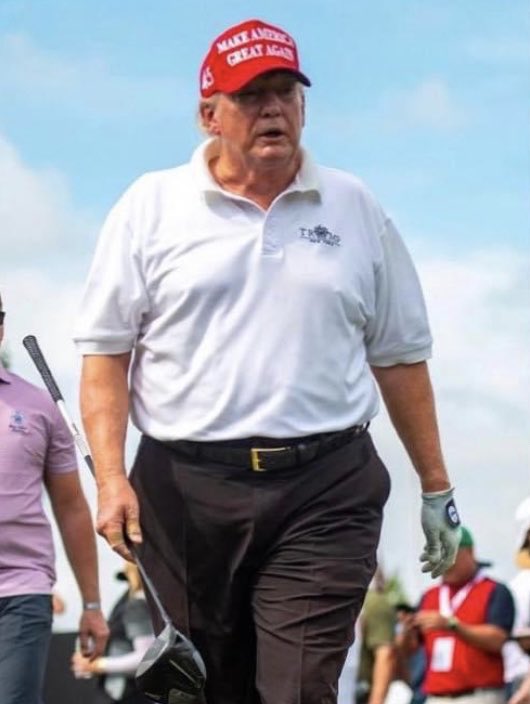 Not Your Average Liberal tweet media