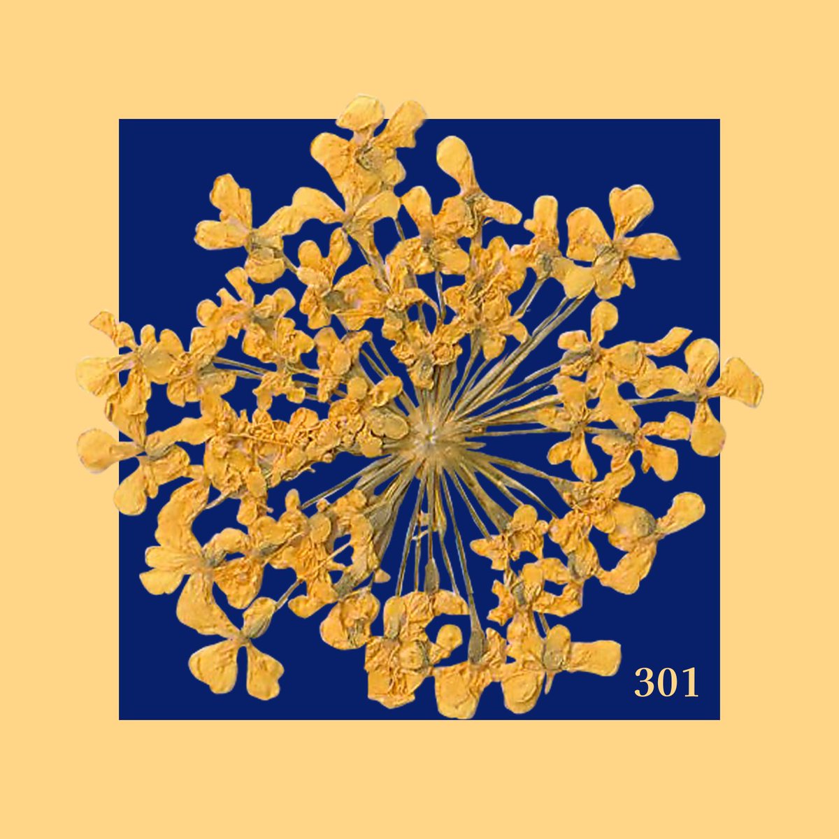 WrapUpParty's tweet image. 【Digital Release解禁】
Wrap Up Party/301
絶賛配信中です！
#wrapupparty #poppunk #広島バンド