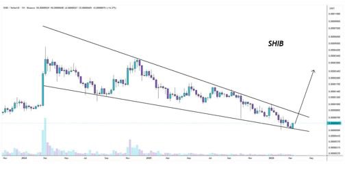 Shiba Inu Weekly Chart Analysis/Leeron Shim