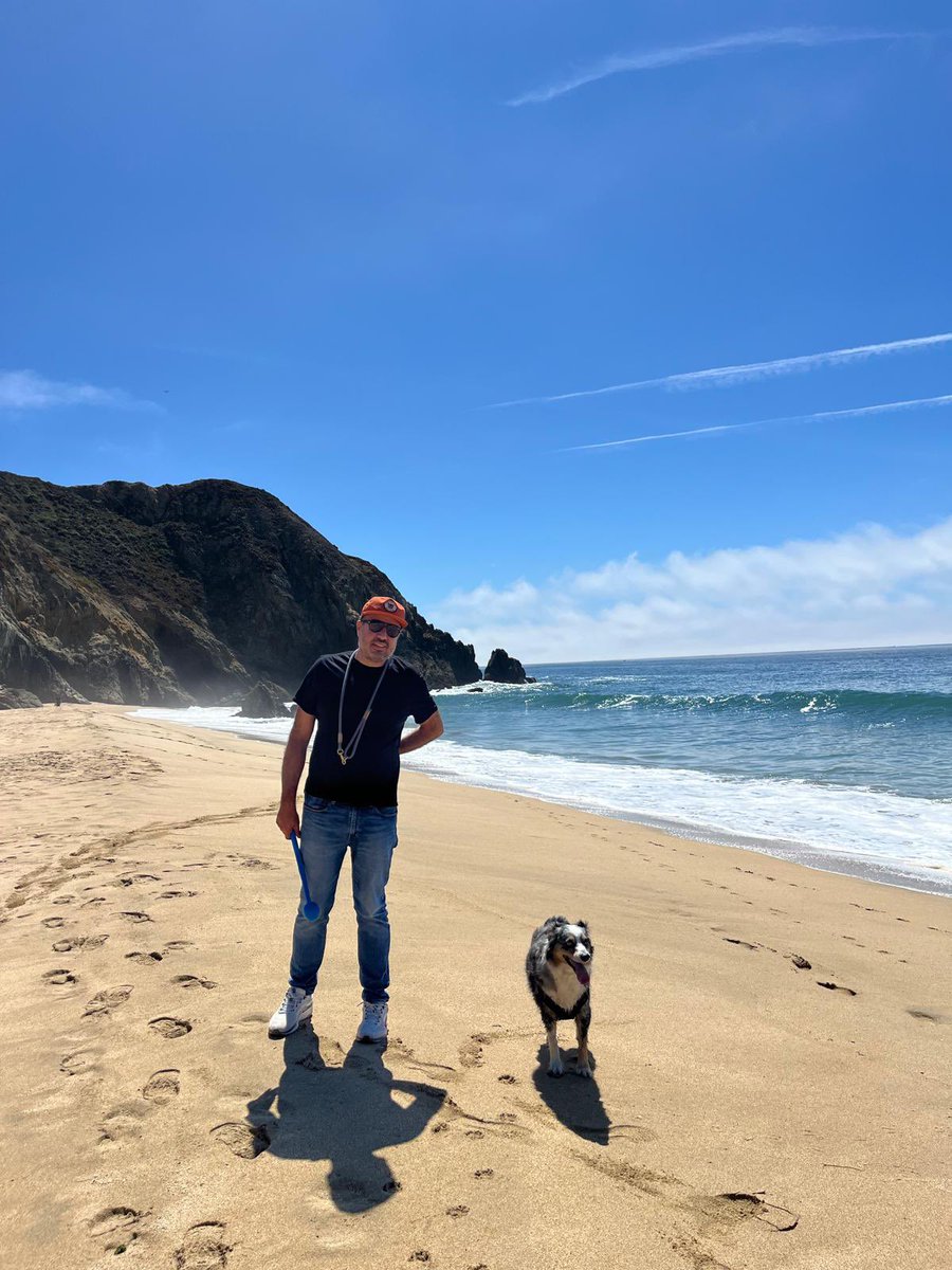 Silicon Carne tweet media