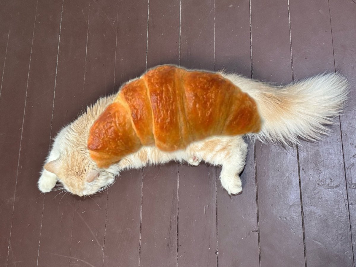 waffles 🧇 tweet media