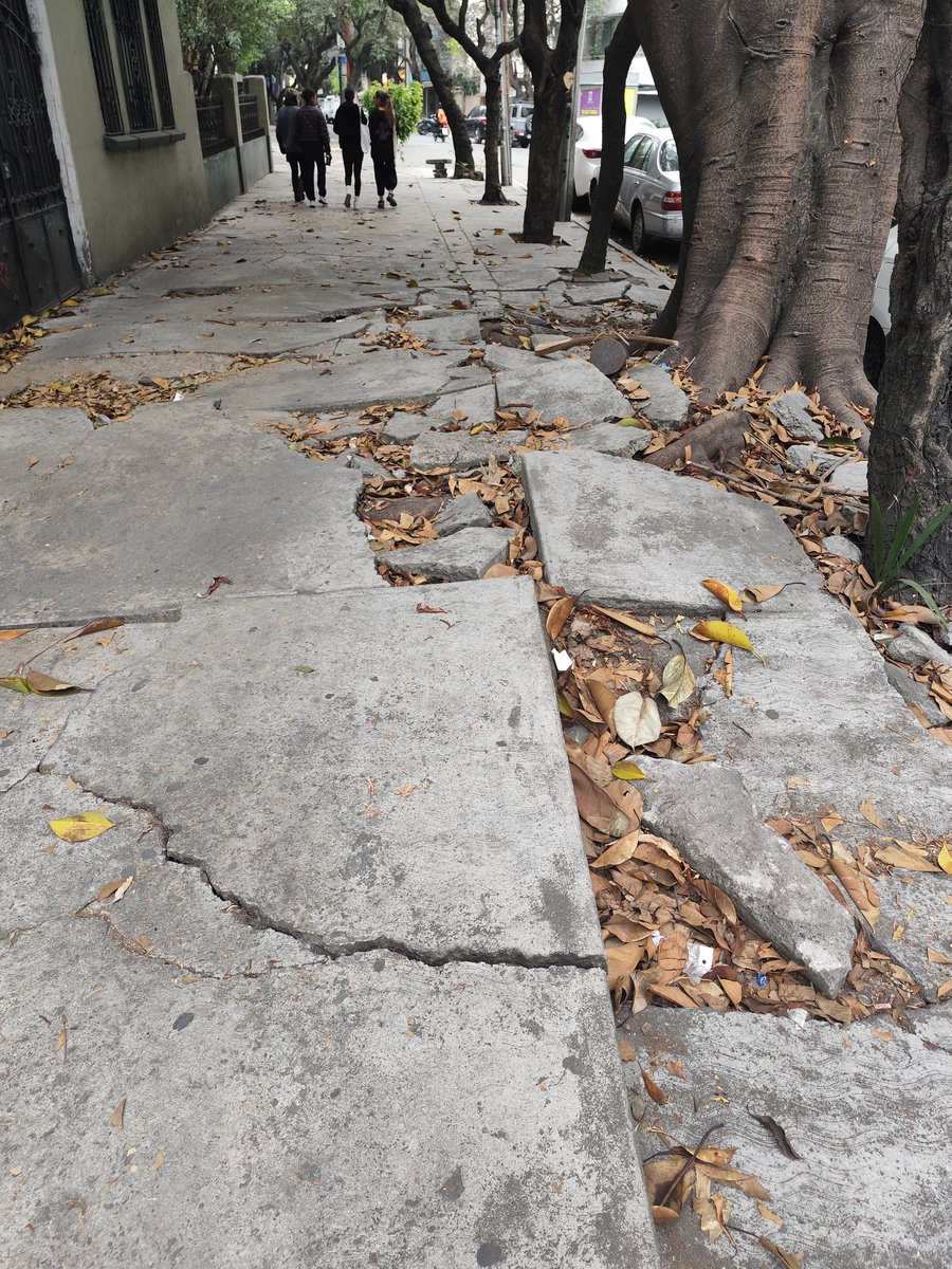 Gustavo A. Estrella tweet media