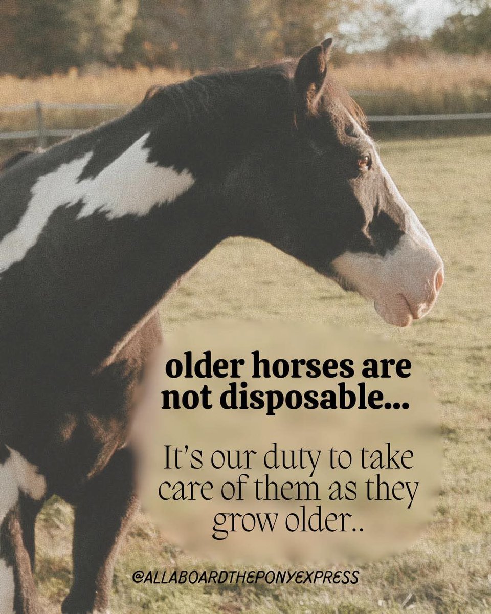 Kaylene w tweet media