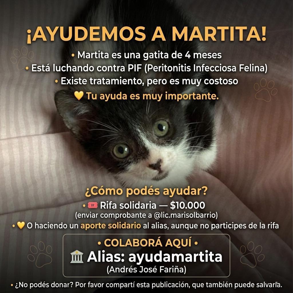 RAQUEL TERESITA MAITA tweet media