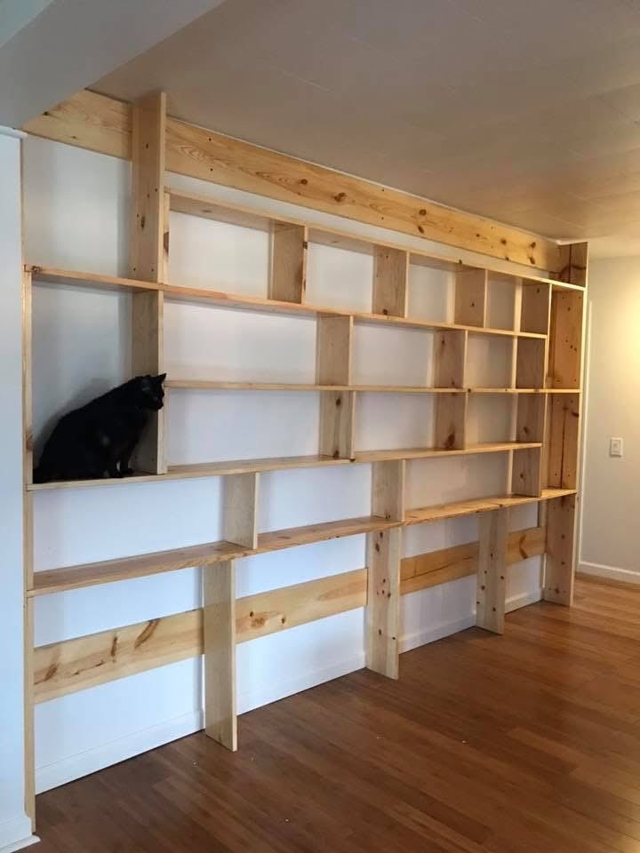 Lily Hankins tweet media