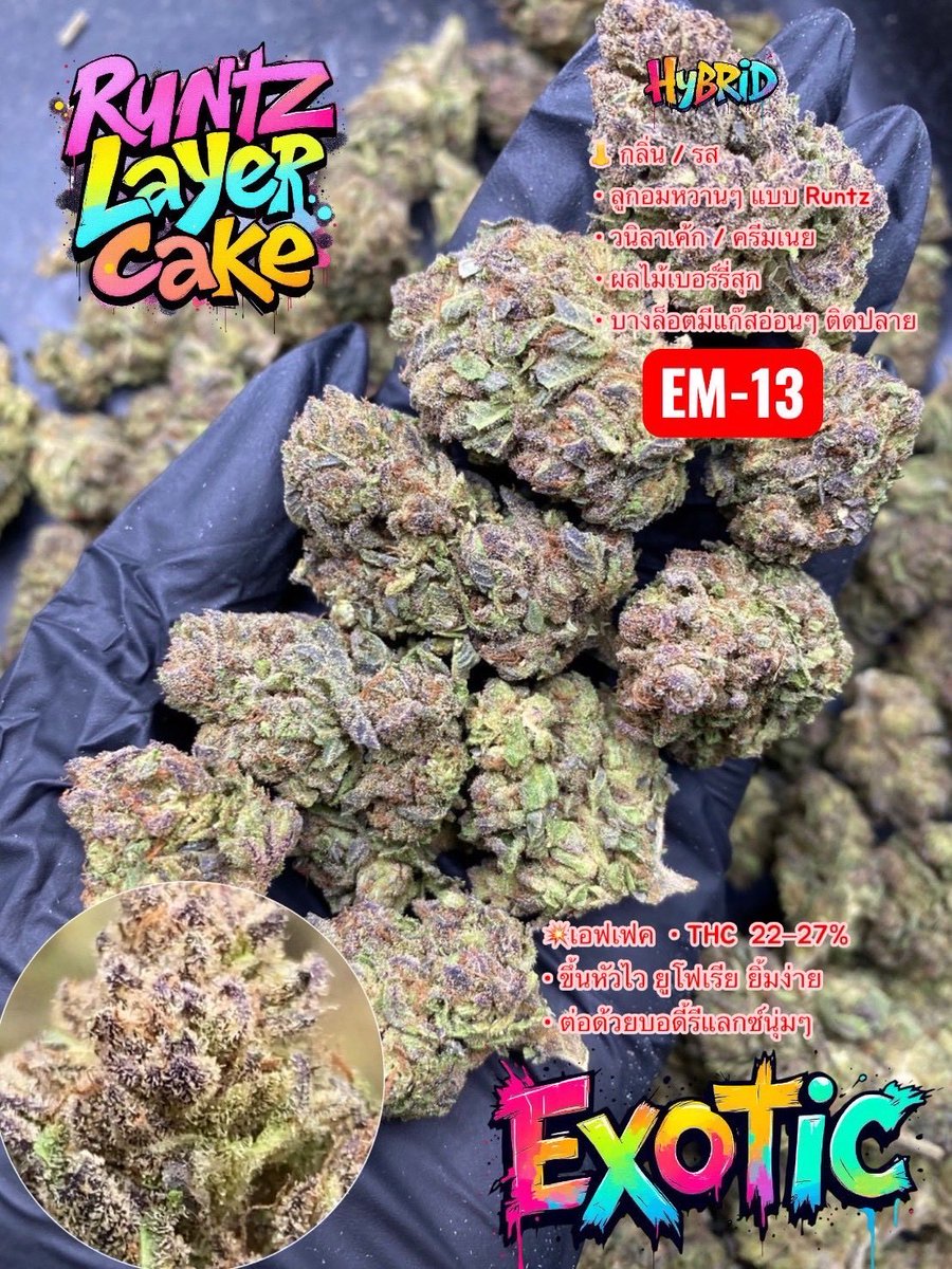JADEGARDEN4200's tweet photo. RUNTZ LAYER CAKE 🍰🍬
งานสวย ดอกแน่น เกรดพรีเมียม 🌿✨
🚀กรุงเทพ-ปริมณฑล💥มีบริการจัดส่งLalamove🚚💨💨

สนใจสั่งซื้อกดลิงก์ 🔗👇🏻
https://t.co/LqYk6AZVvL

#กัญชา #กัญชาภูเก็ต #กัญชาสุราษฎร์ธานี #กัญชาสงขลา #กัญชานครศรีธรรมราช #กัญชากระบี่ #กัญชาหาดใหญ่ #กัญชาสมุย https://t.co/3MbHvQRUG2