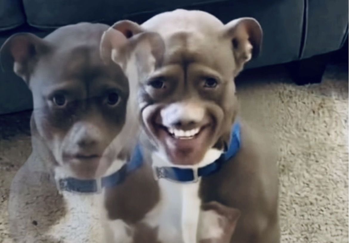 angie🪐 ENHYPEN IS 7 tweet media