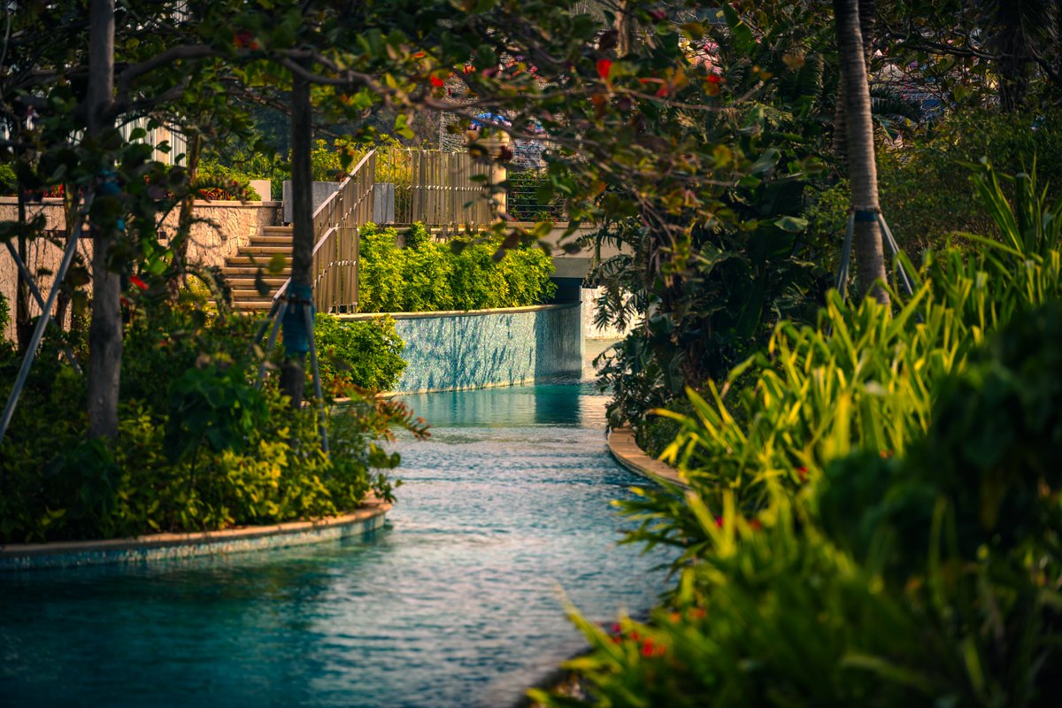 potato～ tweet media