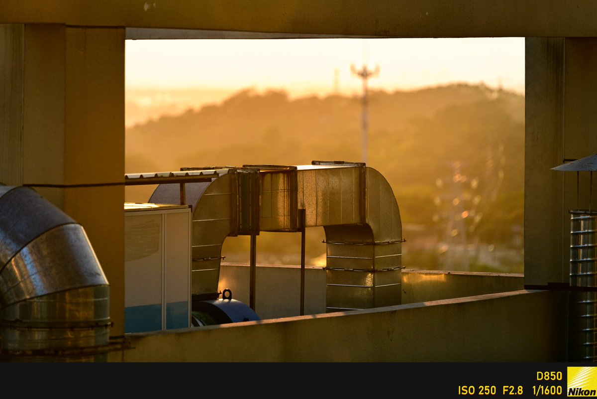 potato～ tweet media