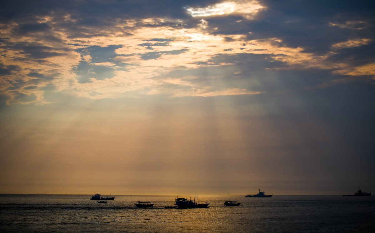 potato～ tweet media