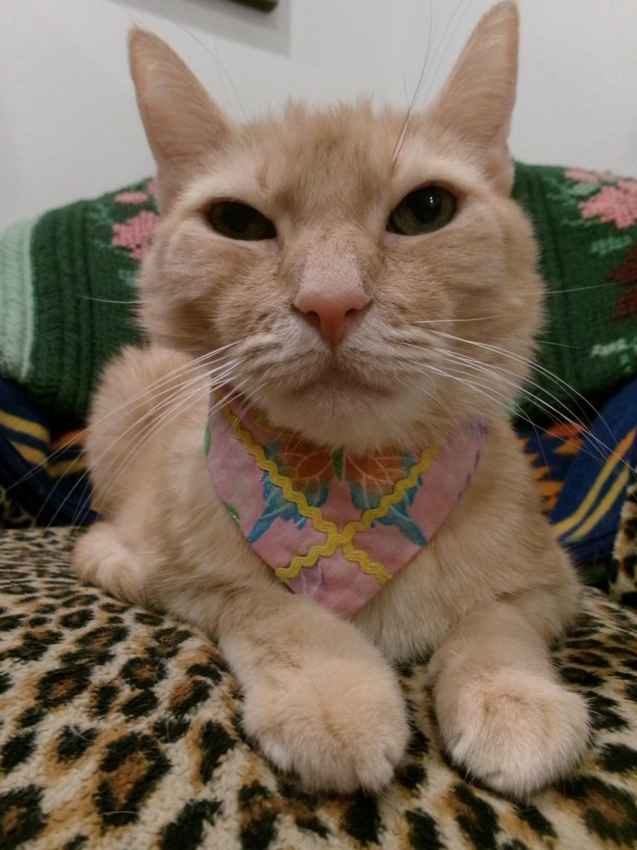 Travis Ford tweet media