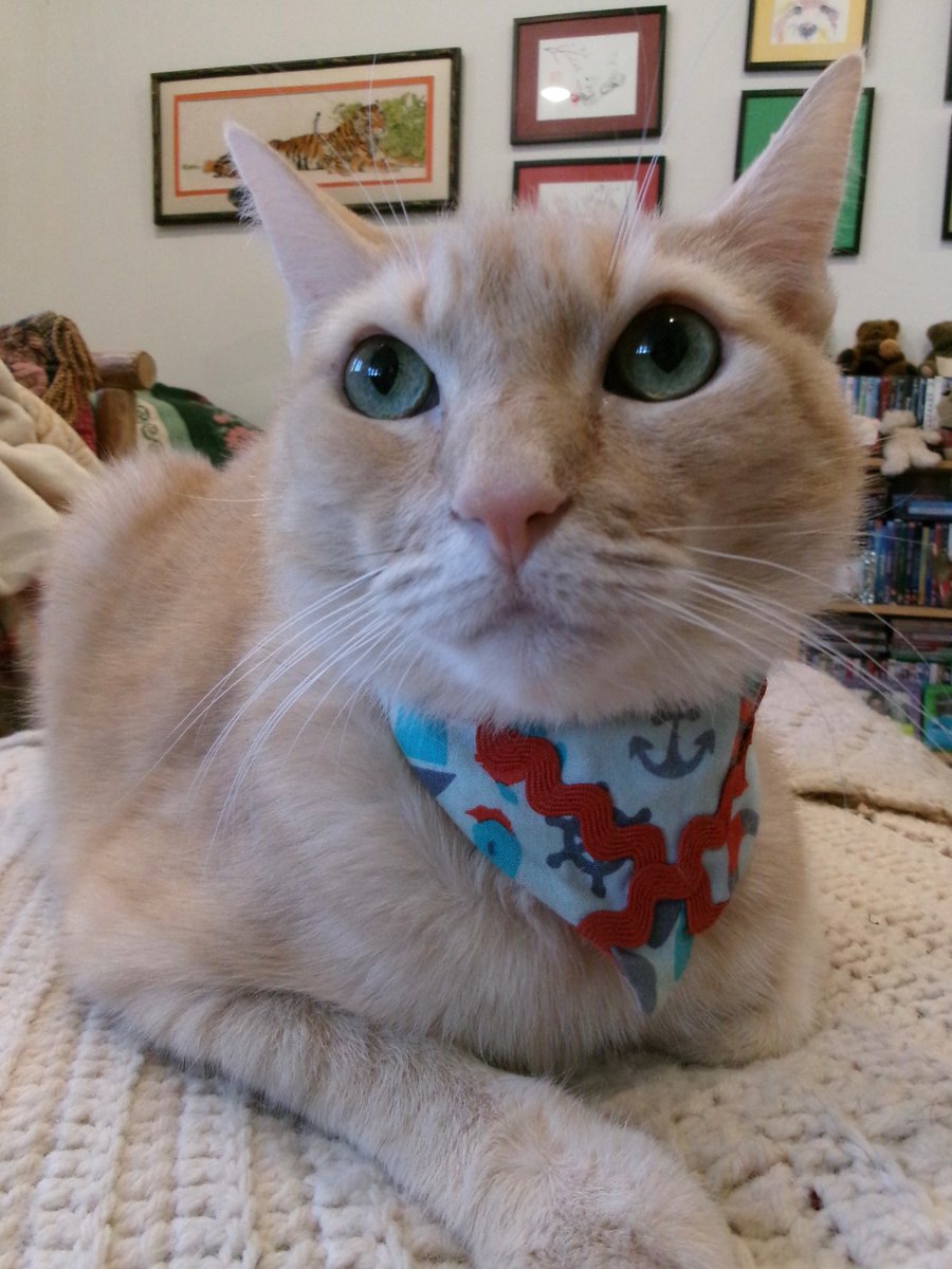 Travis Ford tweet media