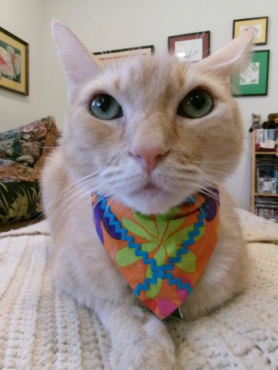 Travis Ford tweet media