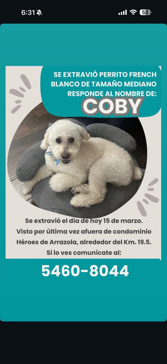 Le tengo mucha fe a esta red social! Porfavor ayúdenme con un RT el perrito de mis sobrinas se salió y están demasiado tristes porfavor si alguien lo ha visto 🙏🏼🙏🏼