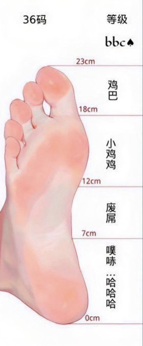 蓉蓉子 tweet media