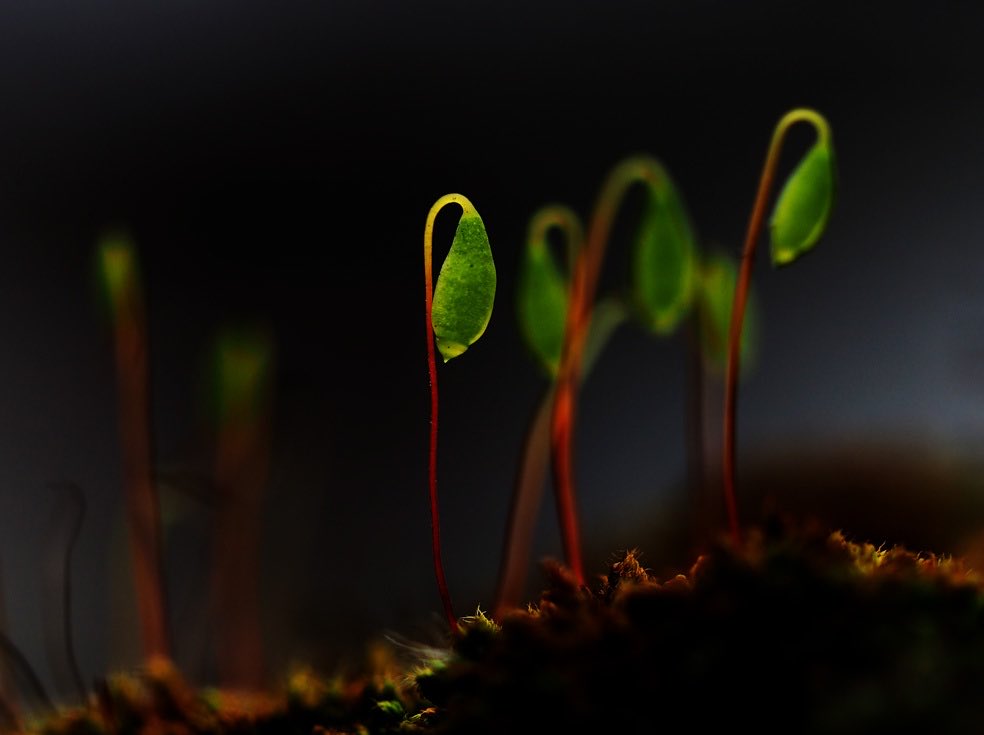 Peter James tweet media